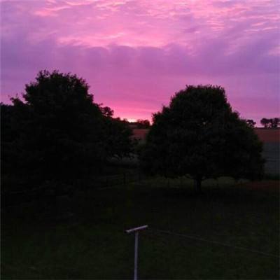 开云·kaiyun体育下载手机版